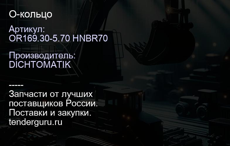 OR169.30-5.70 HNBR70 О-кольцо | купить запчасти